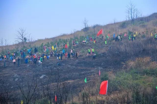 建設生態(tài)邵陽城，天嬌集團在行動