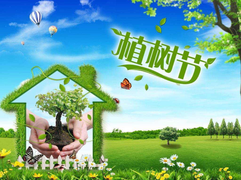 北京現(xiàn)代“智現(xiàn)代，植未來”，你我共建森林邵陽