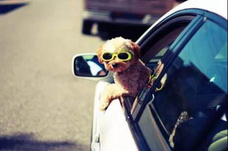 你所不知道的真相，車窗保養(yǎng)有多重要