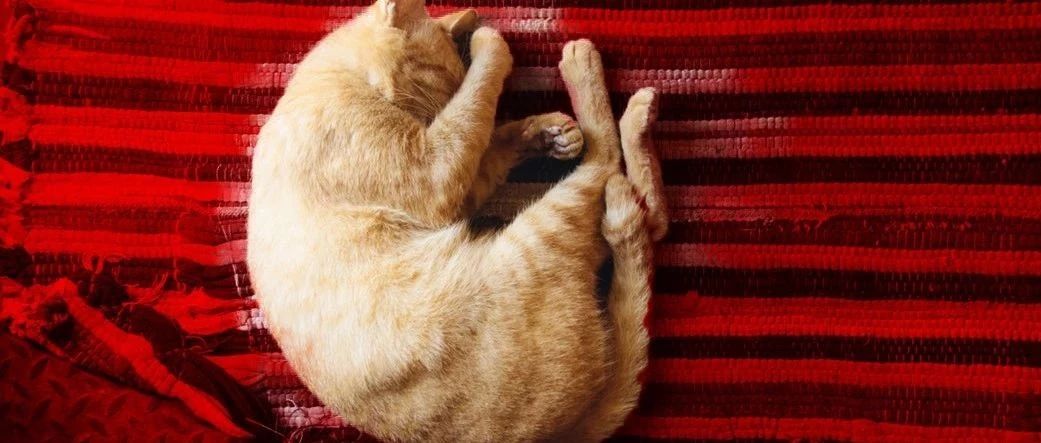 人類(lèi)發(fā)展的動(dòng)力，除了懶，還有對(duì)舒適的追求