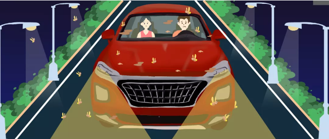 安全清除車身飛蟲，僅需十分鐘