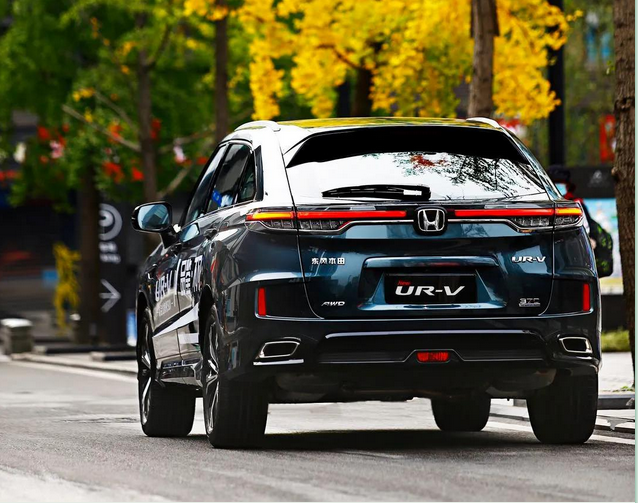 暢游樂逸蓉城，感受市井“慢生活”