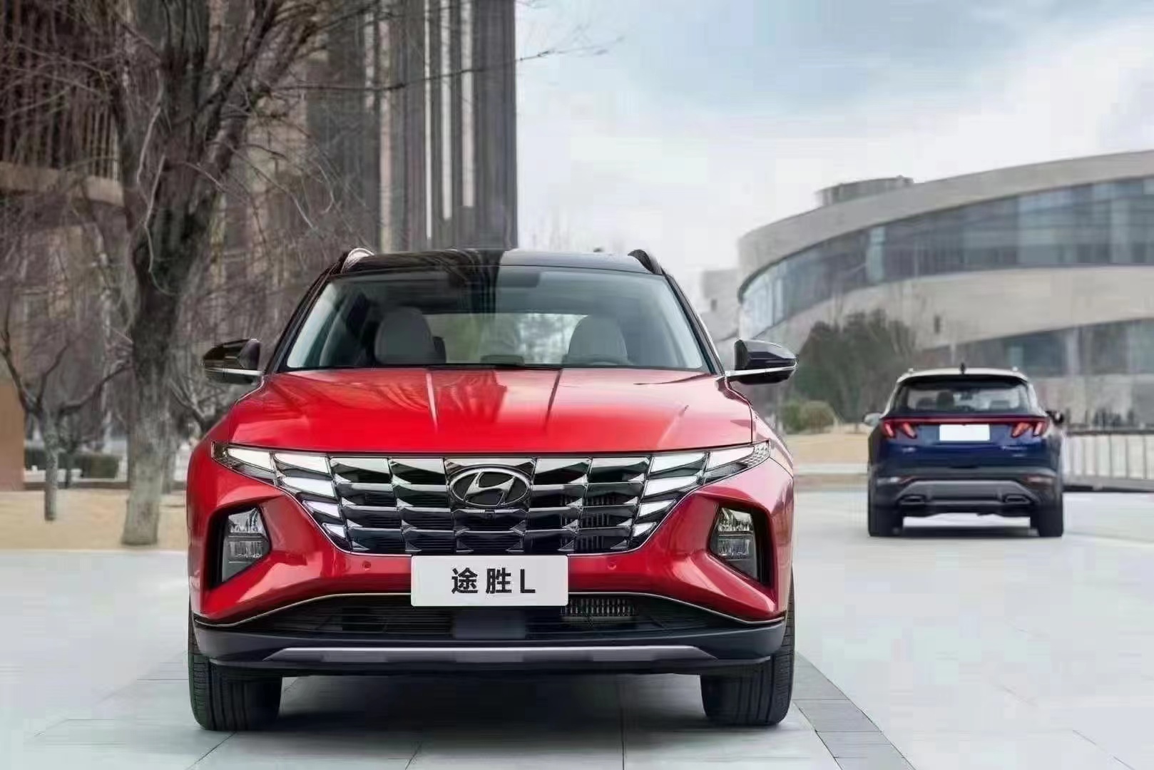 如何呵護(hù)家人，看這兒！